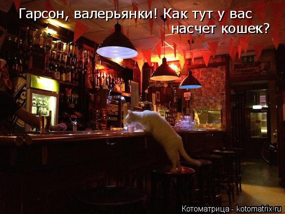Гарсон,па Гарсон, валерьянки! Как тут у вас насчет кошек?... Котоматрица: Гарсон,па Гарсон, валерьянки! Как тут у вас насчет кошек?