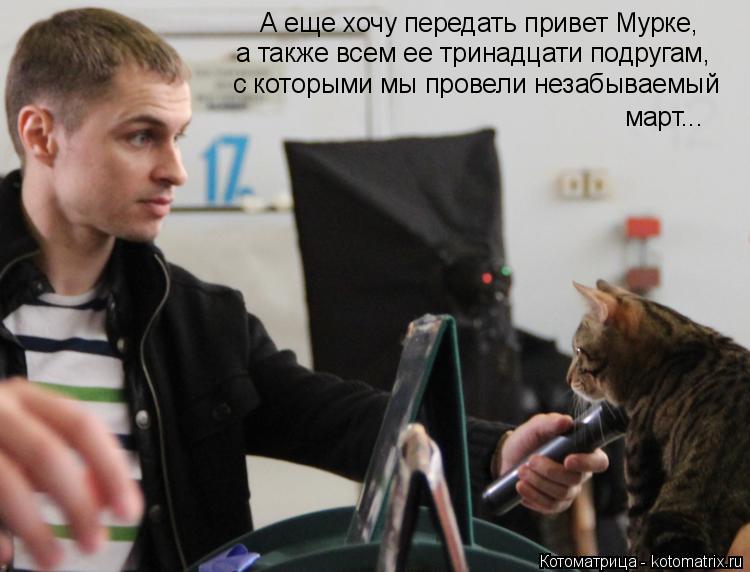 Котоматрица: А еще хочу передать привет Мурке, а также всем ее тринадцати подругам, с которыми мы провели незабываемый март...
