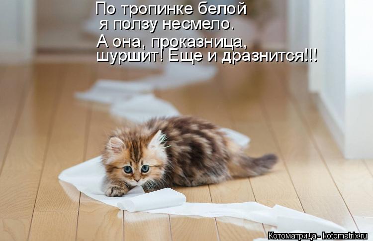 По тропинке белой А она, проказница, я ползу несмело. шуршит! Еще и дразнится!!!... Котоматрица: По тропинке белой А она, проказница, я ползу несмело. шуршит! Еще и дразнится!!!