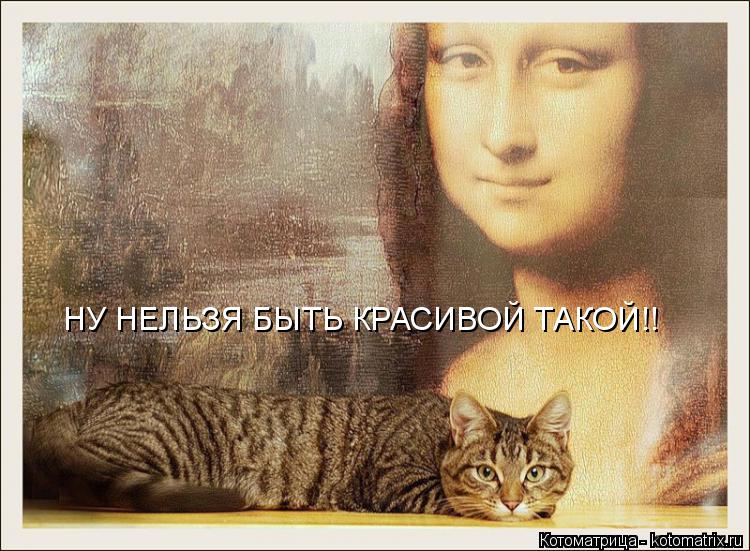 НУ НЕЛЬЗЯ БЫТЬ КРАСИВОЙ ТАКОЙ!!... Котоматрица: НУ НЕЛЬЗЯ БЫТЬ КРАСИВОЙ ТАКОЙ!!