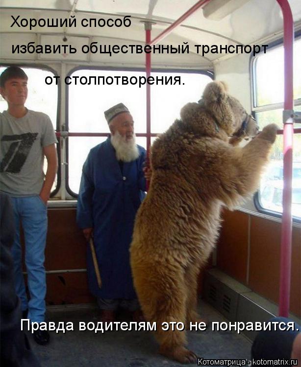 Котоматрица: Хороший способ  избавить общественный транспорт  от столпотворения.  Правда водителям это не понравится.
