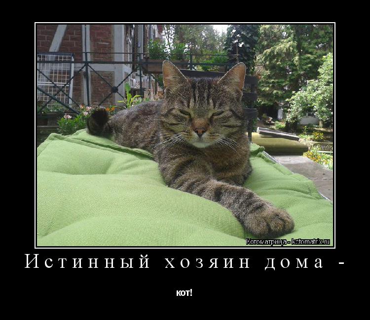 Истинный хозяин дома - кот!... Котоматрица: Истинный хозяин дома - кот!