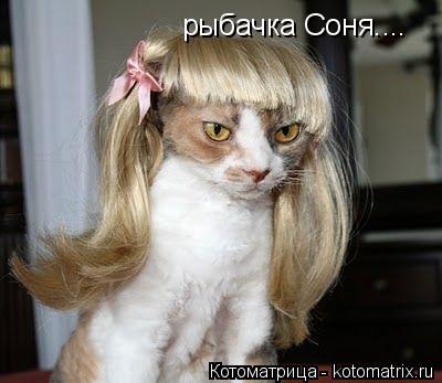 Котоматрица: рыбачка Соня....