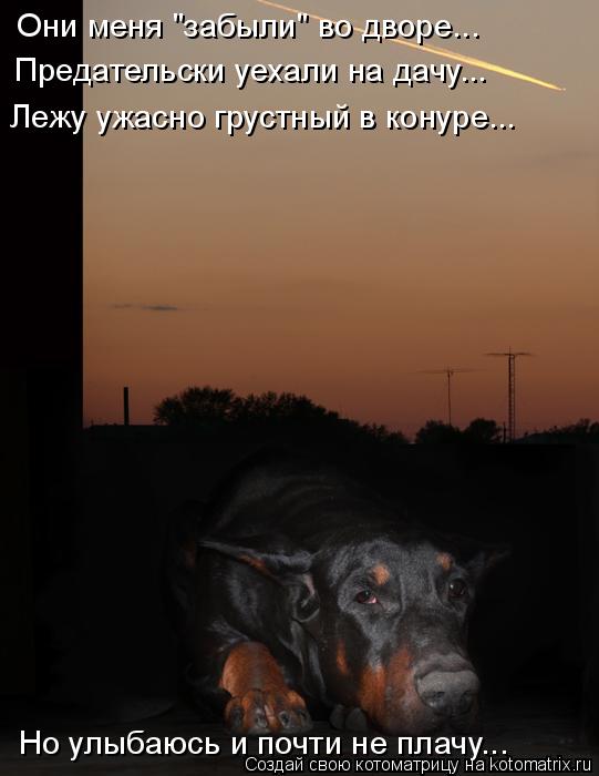 Они меня "забыли" во дворе... Предательски уехали на дачу... Лежу ужасно грустный в конуре... Но улыб... Котоматрица: Они меня "забыли" во дворе... Предательски уехали на дачу... Лежу ужасно грустный в конуре... Но улыбаюсь и почти не плачу...