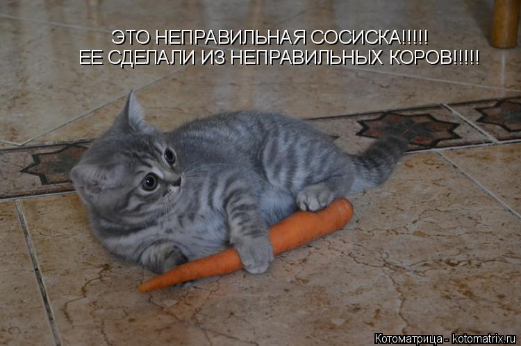 ЭТО НЕПРАВИЛЬНАЯ СОСИСКА!!!!! ЕЕ СДЕЛАЛИ ИЗ НЕПРАВИЛЬНЫХ КОРОВ!!!!!... Котоматрица: ЭТО НЕПРАВИЛЬНАЯ СОСИСКА!!!!! ЕЕ СДЕЛАЛИ ИЗ НЕПРАВИЛЬНЫХ КОРОВ!!!!!