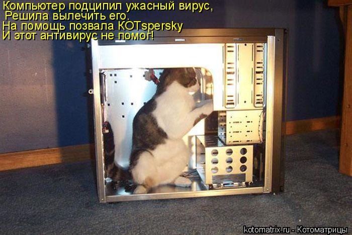 Котоматрица: Компьютер подципил ужасный вирус, Решила вылечить его. На помощь позвала КОТspersky И этот антивирус не помог!