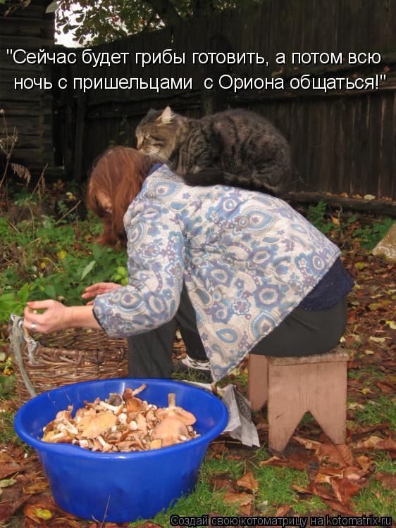 "Сейчас будет грибы готовить, а потом всю ночь с пришельцами с Ориона общаться!"... Котоматрица: "Сейчас будет грибы готовить, а потом всю ночь с пришельцами с Ориона общаться!"