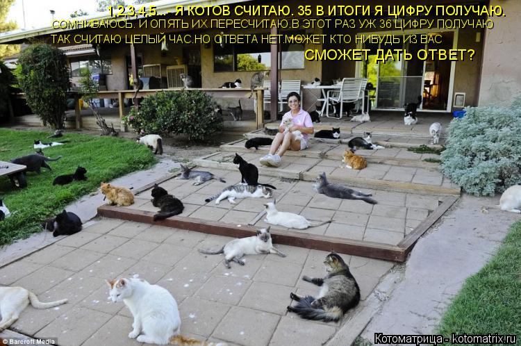 1,2,3,4,5...- Я КОТОВ СЧИТАЮ. 35 В ИТОГИ Я ЦИФРУ ПОЛУЧАЮ. СОМНИВАЮСЬ. И ОПЯТЬ ИХ ПЕРЕСЧИТАЮ.В ЭТОТ РА... Котоматрица: 1,2,3,4,5...- Я КОТОВ СЧИТАЮ. 35 В ИТОГИ Я ЦИФРУ ПОЛУЧАЮ. СОМНИВАЮСЬ. И ОПЯТЬ ИХ ПЕРЕСЧИТАЮ.В ЭТОТ РАЗ УЖ 36 ЦИФРУ ПОЛУЧАЮ ТАК СЧИТАЮ ЦЕЛЫЙ ЧАС.НО ОТВЕ