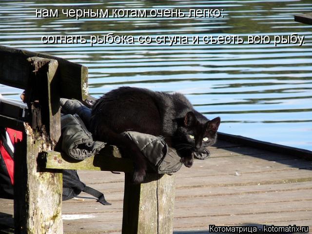нам черным котам очень легко: согнать рыбока со стула и съесть всю рыбу.... Котоматрица: нам черным котам очень легко: согнать рыбока со стула и съесть всю рыбу.
