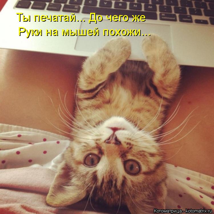 Ты печатай... До чего же Руки на мышей похожи...... Котоматрица: Ты печатай... До чего же Руки на мышей похожи...