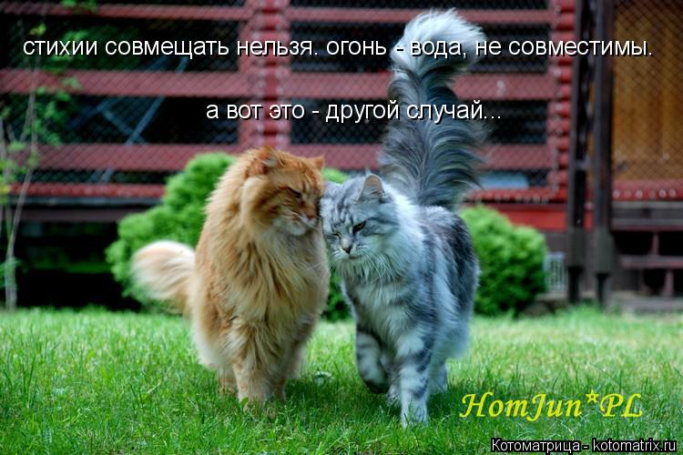 стихии совмещать нельзя. огонь - вода, не совместимы. а вот это - другой случай...... Котоматрица: стихии совмещать нельзя. огонь - вода, не совместимы. а вот это - другой случай...