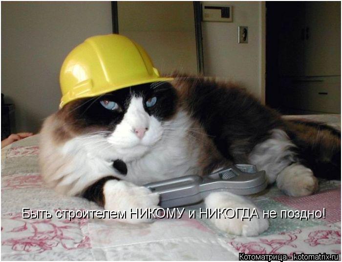 Быть строителем НИКОМУ и НИКОГДА не поздно!... Котоматрица: Быть строителем НИКОМУ и НИКОГДА не поздно!