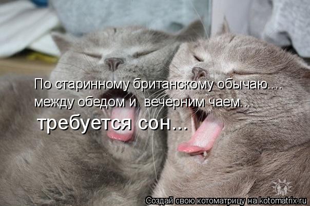По старинному британскому обычаю.... между обедом и вечерним чаем... требуется сон...... Котоматрица: По старинному британскому обычаю.... между обедом и вечерним чаем... требуется сон...