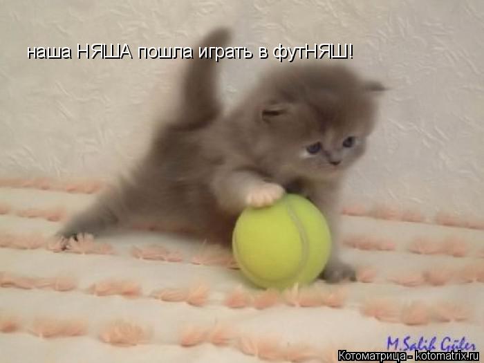 Котоматрица: наша НЯША пошла играть в футНЯШ!