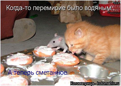 Когда-то перемирие было водяным… А теперь сметанное.... Котоматрица: Когда-то перемирие было водяным… А теперь сметанное.