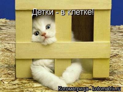 Детки - в клетке!... Котоматрица: Детки - в клетке!