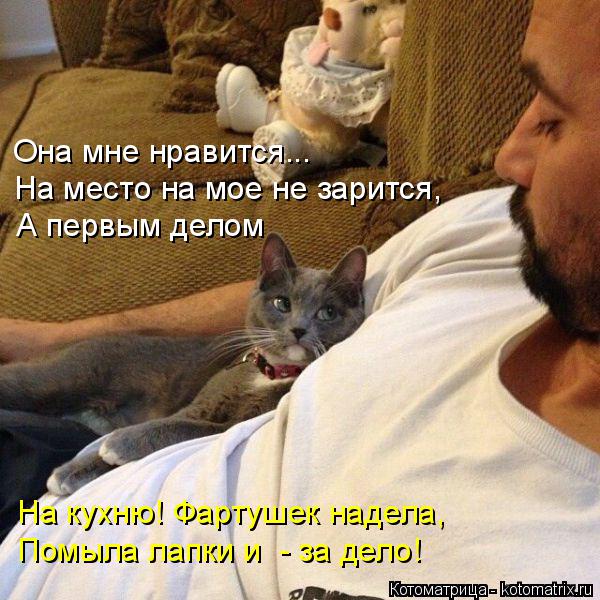 Она мне нравится... На место на мое не зарится, А первым делом На кухню! Фартушек надела, Помыла лапк... Котоматрица: Она мне нравится... На место на мое не зарится, А первым делом На кухню! Фартушек надела, Помыла лапки и - за дело!