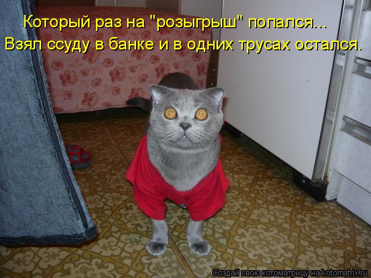 Котоматрица: Взял ссуду в банке и в одних трусах остался. Который раз на "розыгрыш" попался...