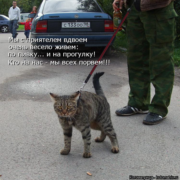 Мы с приятелем вдвоем очень весело живем: по пивку... и на прогулку! Кто на нас - мы всех порвем!!!... Котоматрица: Мы с приятелем вдвоем очень весело живем: по пивку... и на прогулку! Кто на нас - мы всех порвем!!!