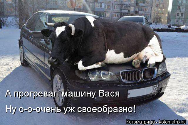 А прогревал машину Вася Ну о-о-очень уж своеобразно!... Котоматрица: А прогревал машину Вася Ну о-о-очень уж своеобразно!