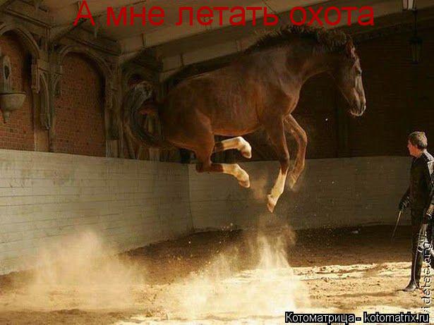 А мне летать охота... Котоматрица: А мне летать охота