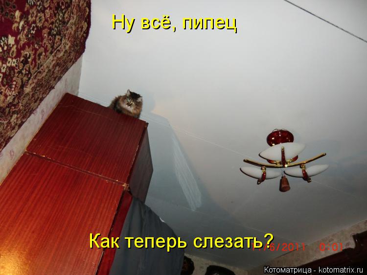 Котоматрица: Ну всё, пипец Как теперь слезать?