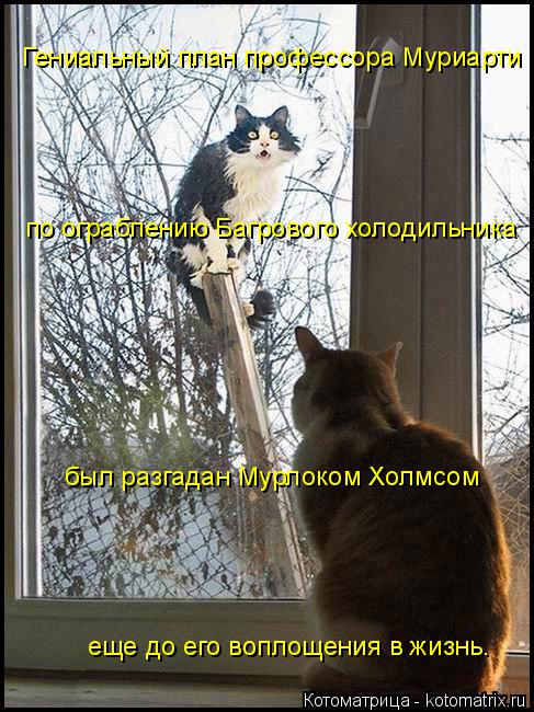 Гениальный план профессора Муриарти был разгадан Мурлоком Холмсом по ограблению Багрового холодильник... Котоматрица: Гениальный план профессора Муриарти был разгадан Мурлоком Холмсом по ограблению Багрового холодильника еще до его воплощения в жизнь.