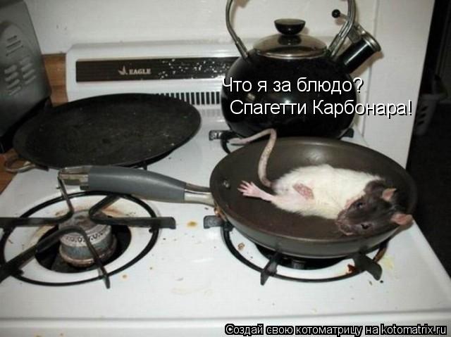 Котоматрица: Что я за блюдо?  Спагетти Карбонара!