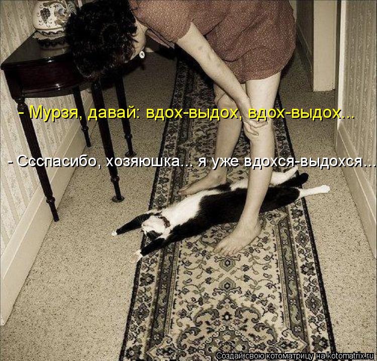 Котоматрица: - Мурзя, давай: вдох-выдох, вдох-выдох... - Ссспасибо, хозяюшка... я уже вдохся-выдохся...