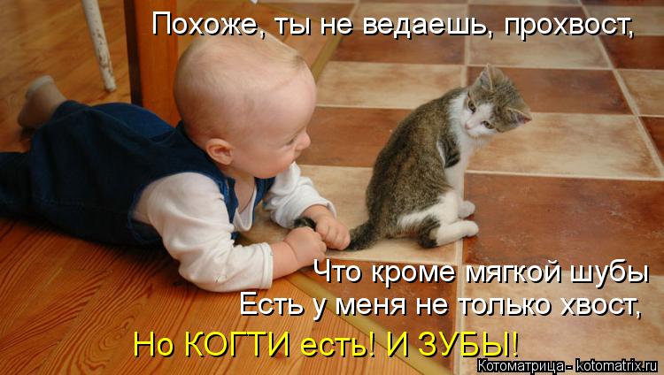 Похоже, ты не ведаешь, прохвост, Что кроме мягкой шубы Есть у меня не только хвост, Но КОГТИ есть! И ... Котоматрица: Похоже, ты не ведаешь, прохвост, Что кроме мягкой шубы Есть у меня не только хвост, Но КОГТИ есть! И ЗУБЫ!