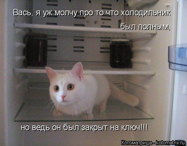 Котоматрица: Вась, я уж молчу про то что холодильник  был полным,  но ведь он был закрыт на ключ!!!