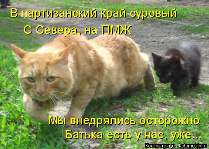 В партизанский край суровый С Севера, на ПМЖ Мы внедрялись осторожно Батька есть у нас, уже...... Котоматрица: В партизанский край суровый С Севера, на ПМЖ Мы внедрялись осторожно Батька есть у нас, уже...