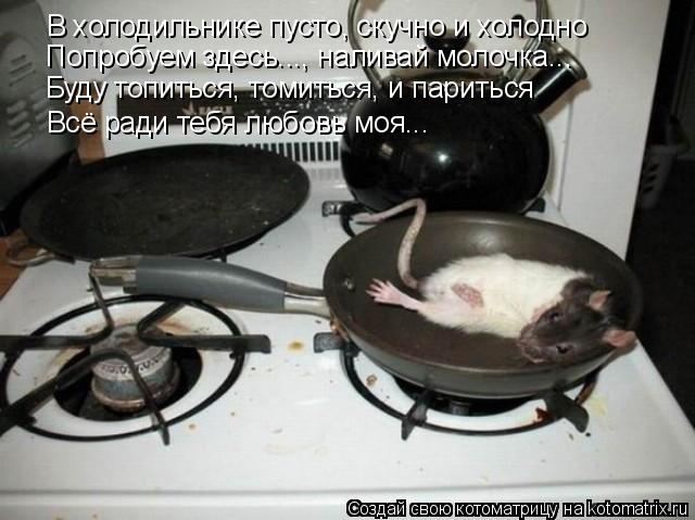 В холодильнике пусто, скучно и холодно Попробуем здесь..., наливай молочка... Буду топиться, томиться... Котоматрица: В холодильнике пусто, скучно и холодно Попробуем здесь..., наливай молочка... Буду топиться, томиться, и париться Всё ради тебя любовь моя...