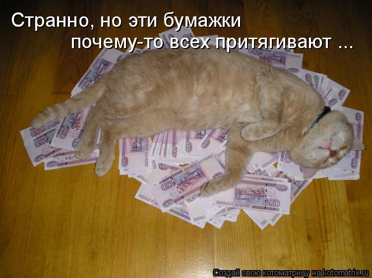 Котоматрица: Странно, но эти бумажки почему-то всех притягивают ...