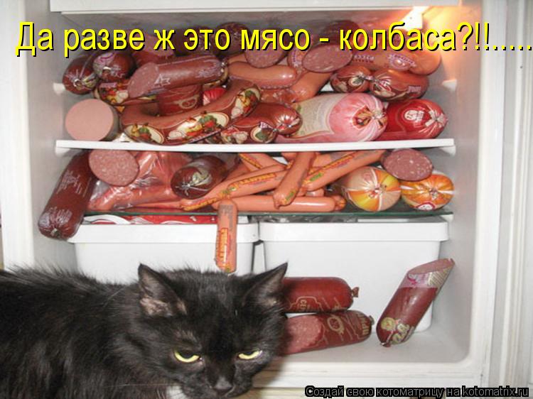 Да разве ж это мясо - колбаса?!!........ Котоматрица: Да разве ж это мясо - колбаса?!!.....