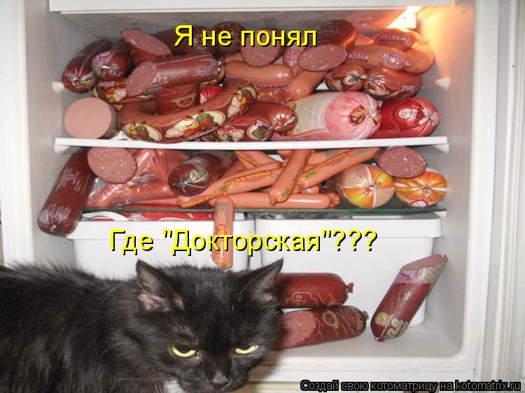Я не понял Где "Докторская"???... Котоматрица: Я не понял Где "Докторская"???