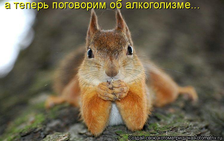 а теперь поговорим об алкоголизме...... Котоматрица: а теперь поговорим об алкоголизме...
