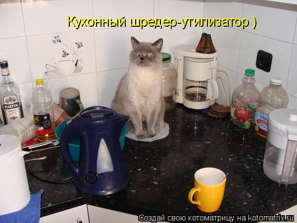Котоматрица: Кухонный шредер-утилизатор )
