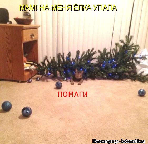 Котоматрица: МАМ! НА МЕНЯ ЁЛКА УПАЛА ПОМАГИ