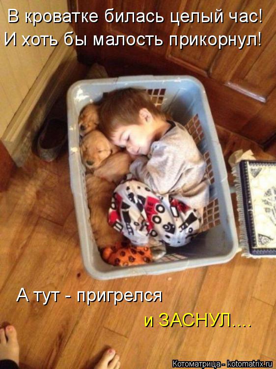 В кроватке билась целый час! И хоть бы малость прикорнул! А тут - пригрелся и ЗАСНУЛ....... Котоматрица: В кроватке билась целый час! И хоть бы малость прикорнул! А тут - пригрелся и ЗАСНУЛ....