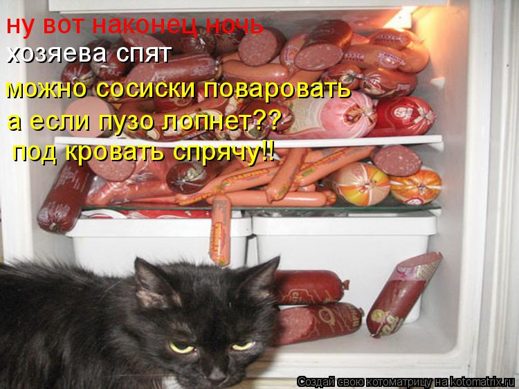 ну вот наконец ночь хозяева спят можно сосиски поваровать а если пузо лопнет?? под кровать спрячу!!... Котоматрица: ну вот наконец ночь хозяева спят можно сосиски поваровать а если пузо лопнет?? под кровать спрячу!!