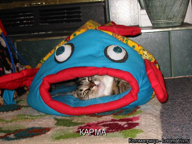 КАРМА... Котоматрица: КАРМА