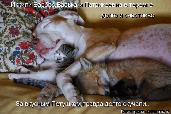 И жили Барбос,Васька и Патрикеевна в теремке долго и счастливо За вкусным Петушком,правда,долго скуча... Котоматрица: И жили Барбос,Васька и Патрикеевна в теремке долго и счастливо За вкусным Петушком,правда,долго скучали...