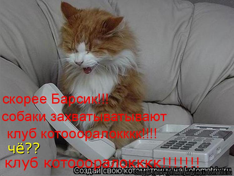 скорее Барсик!!! собаки захватыватывают клуб котоооралокккк!!!! чё?? клуб котоооралокккк!!!!!!!... Котоматрица: скорее Барсик!!! собаки захватыватывают клуб котоооралокккк!!!! чё?? клуб котоооралокккк!!!!!!!