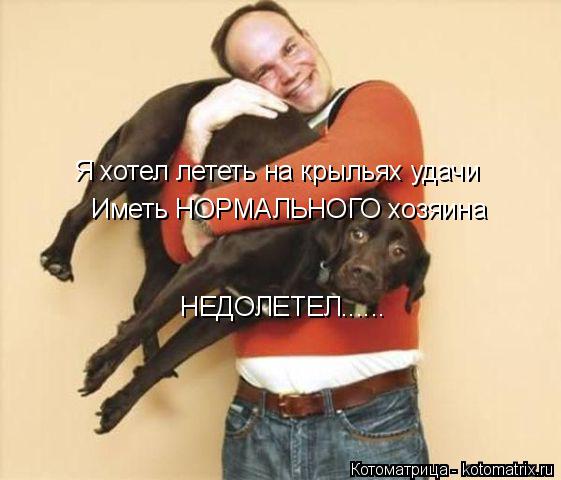 Я хотел лететь на крыльях удачи Иметь НОРМАЛЬНОГО хозяина НЕДОЛЕТЕЛ......... Котоматрица: Я хотел лететь на крыльях удачи Иметь НОРМАЛЬНОГО хозяина НЕДОЛЕТЕЛ......