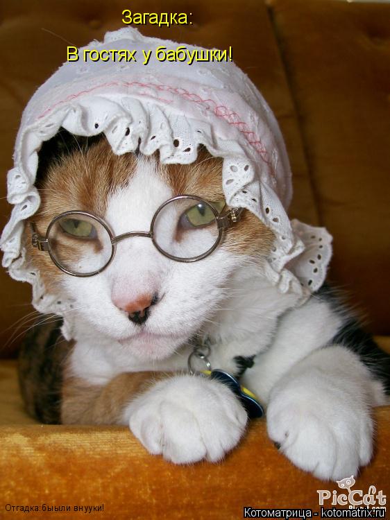 Котоматрица: Загадка: В гостях у бабушки!   Отгадка:быыли внууки!