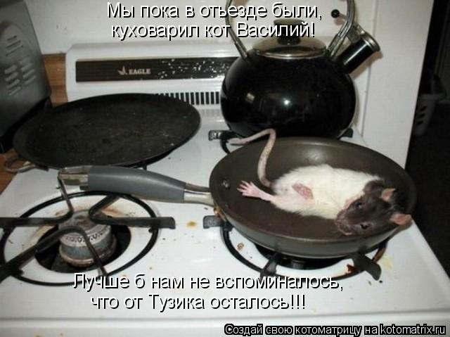 Котоматрица: Мы пока в отьезде были, куховарил кот Василий! Лучше б нам не вспоминалось, что от Тузика осталось!!!