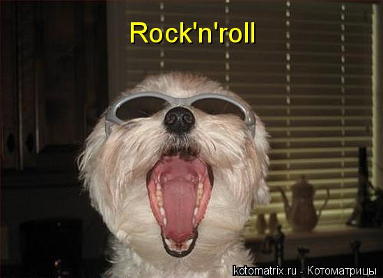 Rock'n'roll... Котоматрица: Rock'n'roll