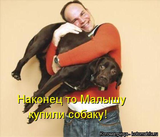 Наконец то Малышу купили собаку!... Котоматрица: Наконец то Малышу купили собаку!