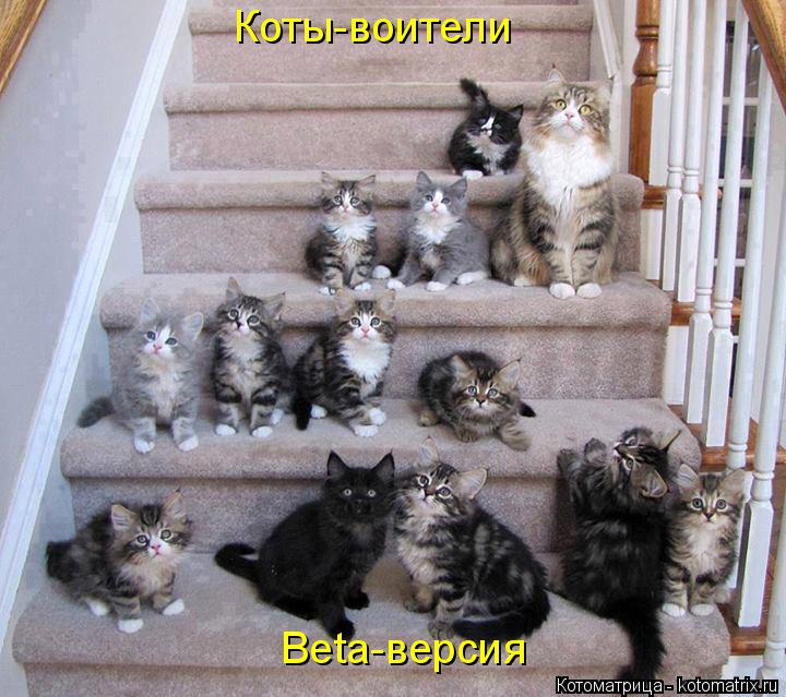 Котоматрица: Коты-воители  Beta-версия